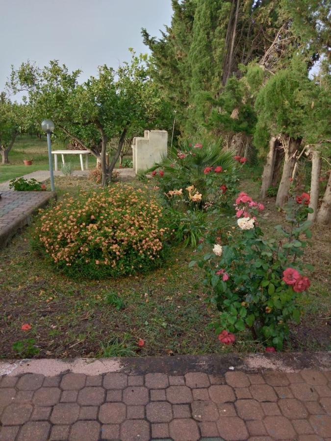 Appartamento In Orosei In Villa Delle Arance 300Mt Dalla Spiaggia ภายนอก รูปภาพ