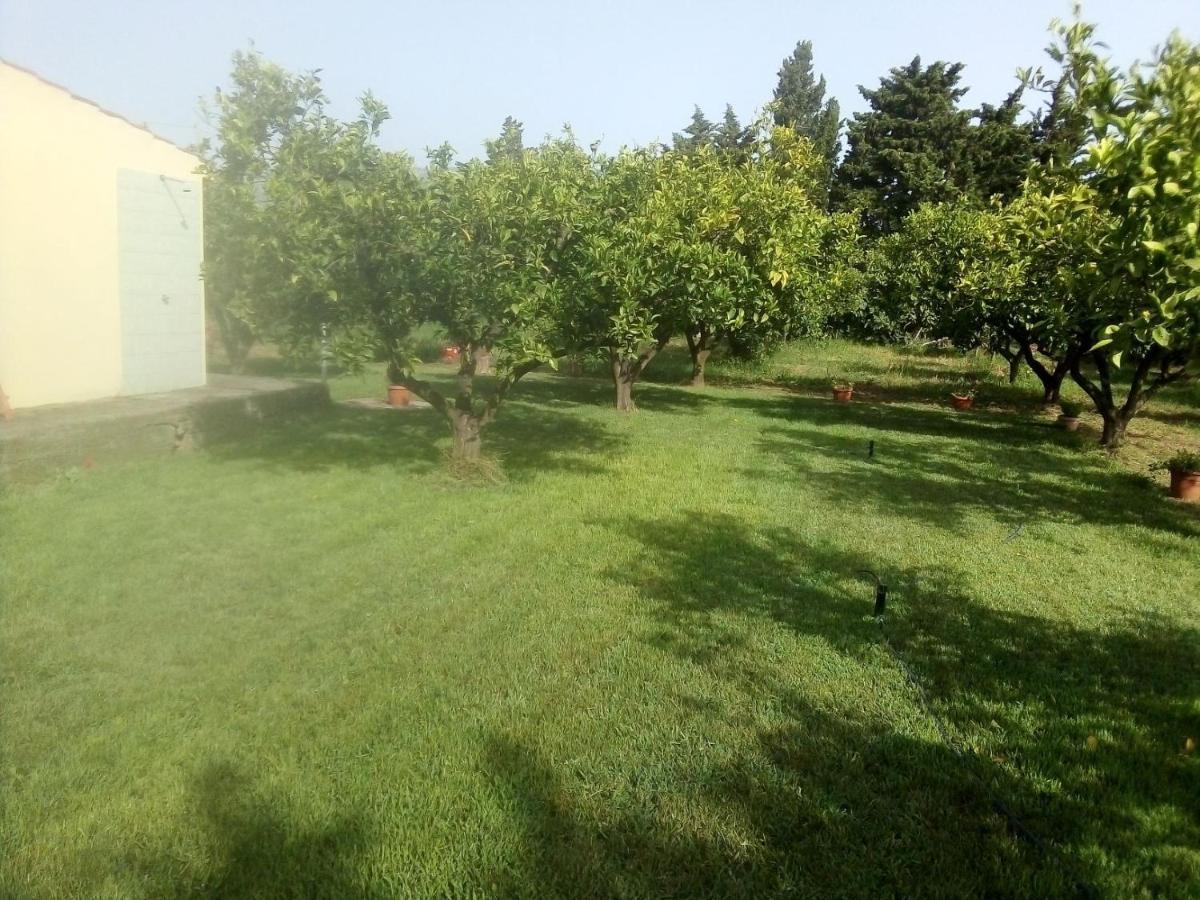 Appartamento In Orosei In Villa Delle Arance 300Mt Dalla Spiaggia ภายนอก รูปภาพ
