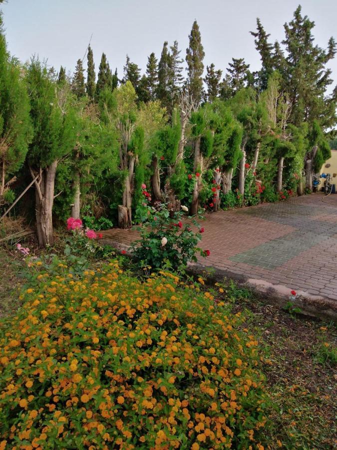 Appartamento In Orosei In Villa Delle Arance 300Mt Dalla Spiaggia ภายนอก รูปภาพ