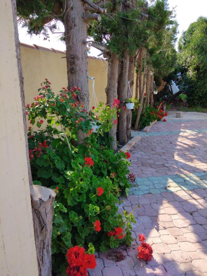 Appartamento In Orosei In Villa Delle Arance 300Mt Dalla Spiaggia ภายนอก รูปภาพ